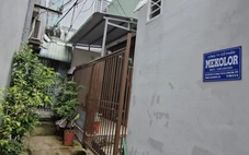 Bất ngờ về công ty Mekolor: Vốn điều lệ 1 tỉ đồng, đề xuất đường sắt Bắc - Nam 100 tỉ USD