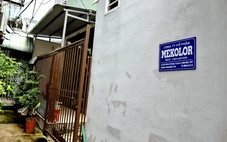 Bất ngờ về công ty Mekolor: Vốn điều lệ 1 tỉ đồng, đề xuất đường sắt Bắc - Nam 100 tỉ USD
