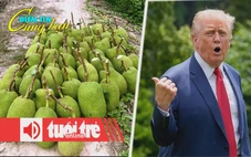 Điểm tin 18h: Mít Thái, ổi, xoài đồng giá 1.000 đồng/kg; Ông Trump nói thống đốc California bất tài