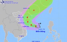 Nam Trung Bộ kêu gọi tàu thuyền khẩn trương di chuyển tránh bão số 1