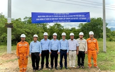 Gắn biển công trình chào mừng 50 năm thành lập Tổng công ty Điện lực miền Trung