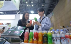 Doanh nghiệp nỗ lực ‘mở lối đi riêng’ ở Hàn Quốc