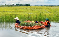 Bộ đội, người dân Huế oằn mình khắc phục mưa lũ