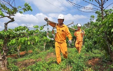 Đại hội Đảng bộ Công ty Điện lực Đắk Nông lần thứ V nhiệm kỳ 2025-2030