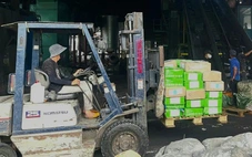 Đồng Nai tiêu hủy hơn 30 tấn vú heo, dồi trường heo, sụn gà bẩn