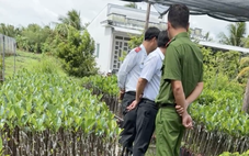 Tranh luận về việc kiểm tra cơ sở cây giống ở Hậu Giang