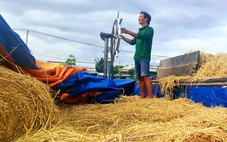 Thương hồ theo những mùa rơm
