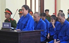 Nhóm đánh tráo sổ đỏ đi lừa đảo ở Long An lãnh từ 11 đến 15 năm tù