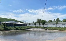 Trang trại nuôi heo gây ô nhiễm, cảnh sát môi trường vào cuộc sau những phản ánh của người dân