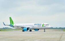 Chủ tịch Bamboo Airways xin từ nhiệm