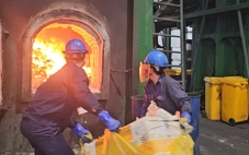 TP.HCM tiêu hủy hơn 500kg ma túy