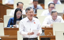 Có 'móc ngoặc' của một số cán bộ với hàng giả, hàng nhái, đại biểu đề nghị kiểm tra cơ quan quản lý