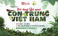Triển lãm đầu tiên về đa dạng côn trùng Việt Nam của ĐH Duy Tân và Trường ĐH Đà Lạt