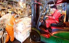 Cần cuộc cách mạng giảm thủ tục, gỡ rào cản kinh doanh