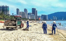 Khẩn trương thu dọn bèo tây ‘bủa vây’ bãi biển Đà Nẵng