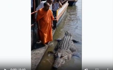 Video cá sấu chở nhà sư về đền là sản phẩm AI
