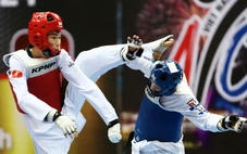 Taekwondo Việt Nam lần đầu tổ chức giải đấu tích điểm dự Olympic