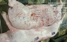 Heo sau giết mổ phát hiện bệnh lý về da, xử lý thế nào?