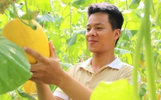 Chàng trai gen Z làm giàu từ nông nghiệp xanh
