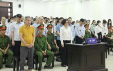 Vụ án Trịnh Văn Quyết: Tội danh nào được chuyển từ phạt tù sang phạt tiền?