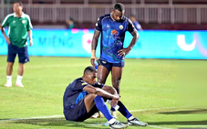 Bảng xếp hạng V-League 2024-2025: Bình Định xuống hạng, Đà Nẵng đá play-off