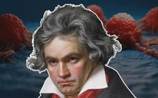 Bản giao hưởng số 5 của Beethoven giúp tiêu diệt tế bào ung thư?
