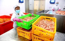 Thủy sản Việt tăng tốc trong lo âu, VASEP kiến nghị Thủ tướng về thuế quan Mỹ