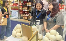 Vì sao Việt Nam chi hàng trăm tỉ đồng nhập khẩu dừa?