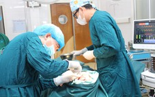 Mặt hoại tử, có giòi vì tự đổ thuốc diệt cỏ ‘khử trùng’ vết thương