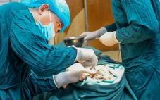 Mặt hoại tử, có giòi vì tự đổ thuốc diệt cỏ ‘khử trùng’ vết thương