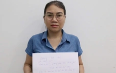 Vụ mua bán hóa đơn khống ở Bình Dương: Khởi tố thêm 6 bị can về hành vi trốn thuế