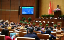 Quốc hội thông qua luật mới, nhà khoa học có thể được loại trừ trách nhiệm hình sự