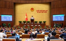 Đường bộ cao tốc Quy Nhơn - Pleiku dài 125km sẽ khai thác năm 2029