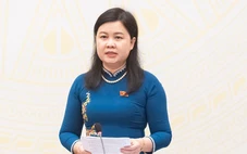 Bà Trương Mỹ Lan có được giảm từ án tử hình xuống chung thân?