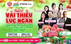 Vải thiều đã chín đỏ trên siêu thị online Sendo Farm