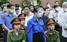 Luật sư: Bà Hoàng Thị Thúy Lan ngoài nhận tiền 'không làm hại tổ chức, cá nhân nào'