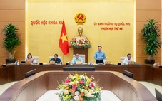 Đề xuất ký hợp đồng với doanh nhân tiêu biểu, chuyên gia làm nhiệm vụ công chức lãnh đạo