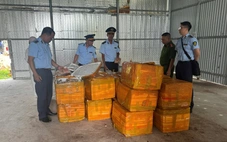 Chống buôn lậu, hàng giả 5-6: Hàng tấn trứng gà non không rõ nguồn gốc đựng trong thùng xốp