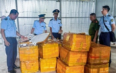 Chống buôn lậu, hàng giả 5-6: Hàng tấn trứng gà non không rõ nguồn gốc đựng trong thùng xốp