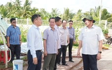 Cà Mau kiểm tra kỹ cơ sở vật chất, không để gián đoạn hoạt động của chính quyền