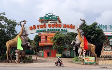 Đồng Nai yêu cầu xử lý 4 vụ vi phạm về đất đai còn tồn đọng, kéo dài nhiều năm