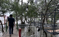 'Xẻ thịt' đất rừng phòng hộ để làm quán nhậu