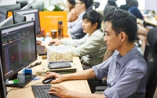 Lãi ròng hơn 1.000 tỉ đồng mỗi năm, hàng chục 'đại gia' Việt đang làm gì?