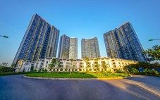 Phiên livestream đặt giá NobleGo: Khách sở hữu căn hộ Sunshine City rẻ hơn 2 tỉ đồng