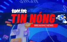 Theo người thân đi chăn bò, bé gái 2 tuổi bị đá đè chết