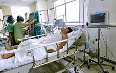 Phát hiện heo nghi bị bệnh tại lò mổ giữa lúc Huế đang ‘căng mình’ chống bệnh liên cầu lợn