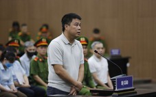 Chủ tịch Tập đoàn Phúc Sơn Nguyễn Văn Hậu bị kết án 30 năm tù