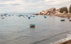 Về nhà là hành trình tuyệt vời nhất trong tim