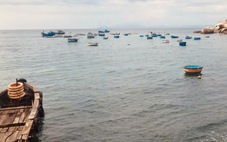 Về nhà là hành trình tuyệt vời nhất trong tim