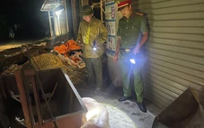 Người chăn nuôi giấu dịch đang khiến dịch tả heo châu Phi lan rộng
